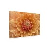 Trademark Fine Art - Cora Niele 'Orange Dahlia' Canvas Art - 4 of 4