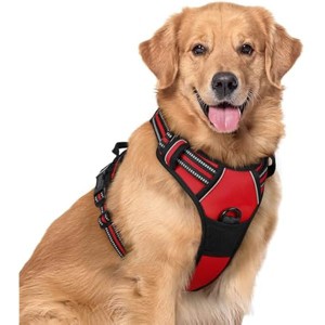 rabbitgoo Dog Harness No Pull with 2 Leash Clips, Control Handle for Large Dogs, Red, XL - 1 of 1