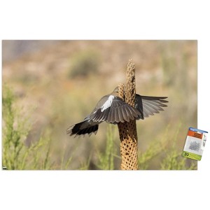 Trends International The Comedy Wildlife Photography Awards: Wendy Kaveney - That Wasn't Here Yesterday Unframed Wall Poster Prints - 1 of 4