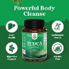 TUDCA Capsules, Liver Support and Gallbladder Cleanse, Nature's Craft, 60ct - image 3 of 4