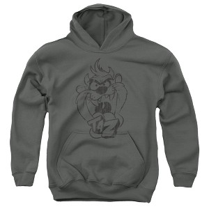 Boys’ Looney Tunes Faded Taz Hooded Sweatshirt - 1 of 4