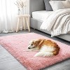 2x3 Fluffy Area Rugs for Bedroom Living Room, Small Soft Shag Fuzzy Shaggy Carpets for Kids Boys and Girls Dorm Home Decor - 4 of 4