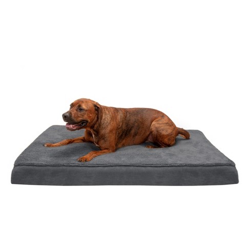 Best cooling outlet orthopedic dog bed