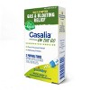 Gasalia On the Go by Boiron Homeopathic Medicine for Gas & Bloating Relief  -  2 Tubes Box - 4 of 4
