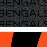 cincinnati bengals