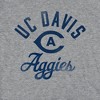 Women's University of California, Davis Mascot Cap Sleeve Baby Rib Crop Top Athletic Heather - 3 of 4