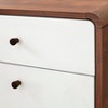 Cassie 2 Drawer File Cabinet White/Walnut - Buylateral: Mid-century Modern, Laminate Surface, Wood Composite - 4 of 4