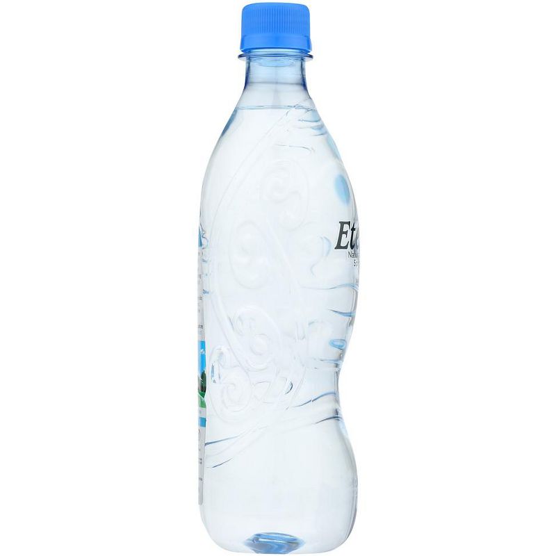Eternal Naturally Alkaline Spring Water - Case of 24/600 ml, 5 of 6