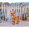 ProductWorks 24 Inch 3D Pre Lit Rudolph with C9 Light Strand, Brown - 3 of 3