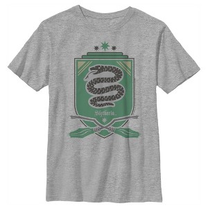 Boy's Harry Potter Quidditch Slytherin Team Crest T-Shirt - 1 of 4