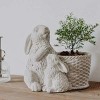 Slickblue Mother and Child Rabbit Cement Planter, Drain Hole, Indoor/Outdoor Decorative Flower Pot, 8.5"x6"x8" - 3 of 3