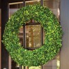 Plum & Post Boxwood Wreath 30" - 2 of 3