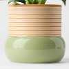 Threshold Green Live Houseplant - Good Little Garden™ - 3 of 4