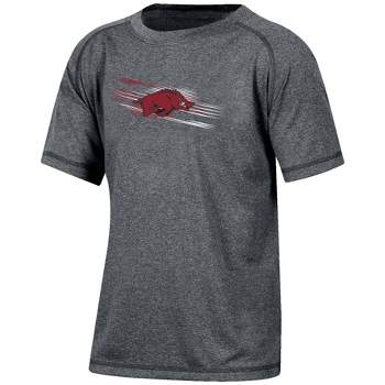 NCAA Arkansas Razorbacks Boys' Gray Poly T-Shirt
