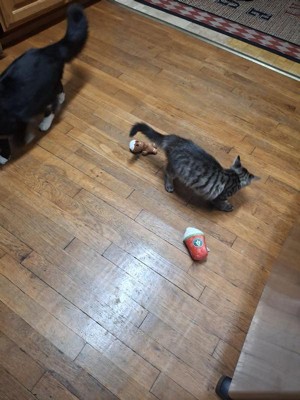 Guest review image 3 of 3, zoom in