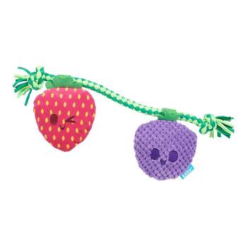 BARK 1.5" Best Berry Friends Rope and Plush Dog Toy