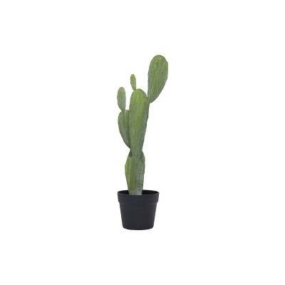 25" x 5.5" Artificial Faux Cactus Plant in Pot - 3R Studios