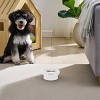 Sam's Pets Short Tulip 2.0 Pet Bowl in Glossy White - 2 of 4