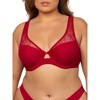 Mesh Plunge Bra - 4 of 4