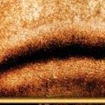 clear push pins bundle