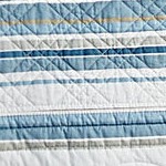 blue stripe