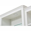 LED Display Cabinet Bookcase Bookshelf Storage Cabinet Accent Cabinet with  5 Colors Adjustable Light Adjustable Glass Shelves, White-ModernLuxe - 4 of 4