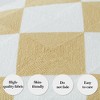 2 Pieces Embroidered Decorative Throw Pillow Covers with Checkered Design - 3 of 4