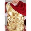 HalloweenCostumes.com Imperial Caesar Men's Costume - image 2 of 4