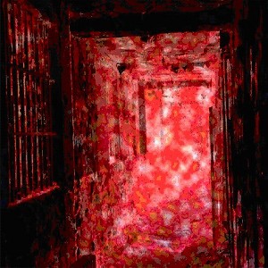 Elimi - Asylum (CD) - 1 of 1