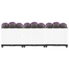 vidaXL Raised Bed 47.2"x15.7"x15" Polypropylene - 3 of 4