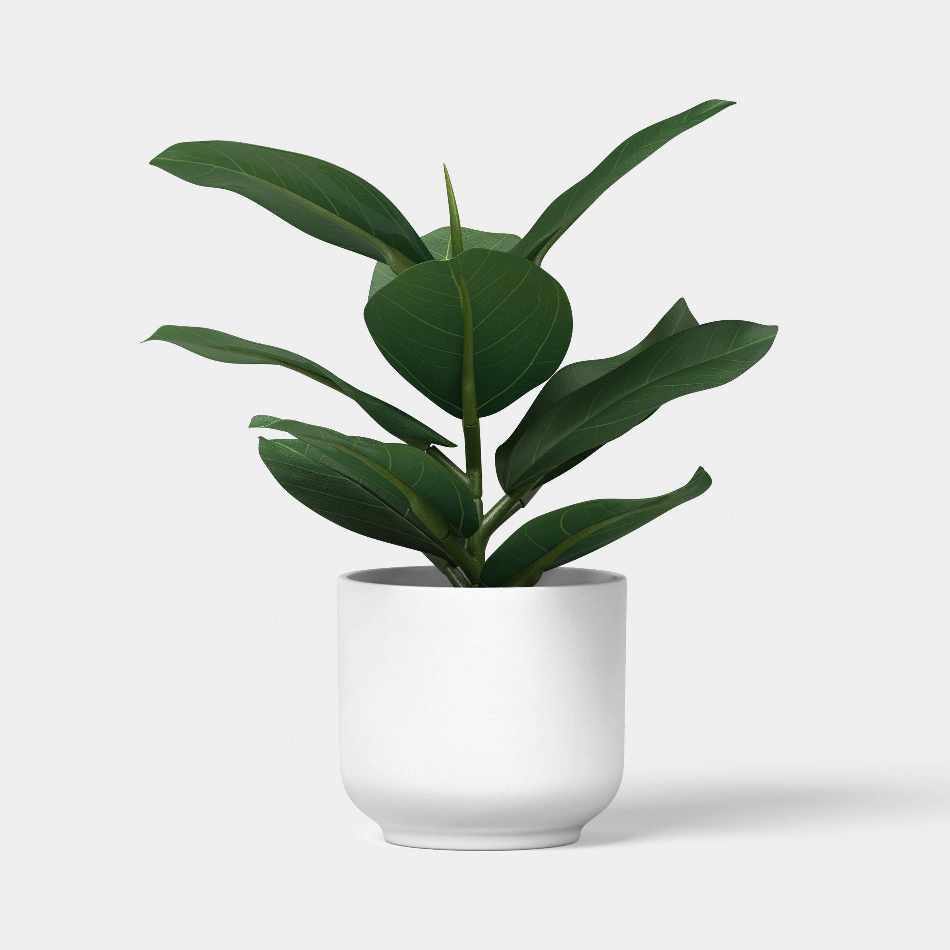 9" Ficus Mini Arrangement - Room Essentials™