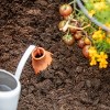 Back to the Roots 16.9 oz Self Watering Terracotta Olla Pot - image 3 of 4