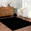 Hauteloom Heavenly Solid Black Plush Rug - 4 of 4