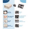 Washable Scalloped Area Rugs, Modern Bordered Floor Mats, Non-Slip Contemporary Accent Rug, Non-Shedding Soft Low Pile Indoor Carpet for Living Room - 3 of 4