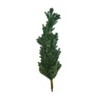 ALEKO CT7FT005 Premium Artificial Spruce Holiday Christmas Tree - 7 Foot - 3 of 4