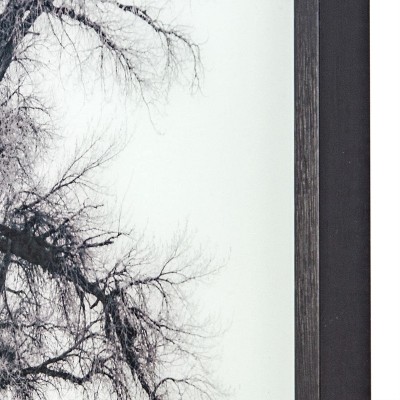 Stoic Tree Woodland Fog 32" Square Wood-Framed Landscape Print