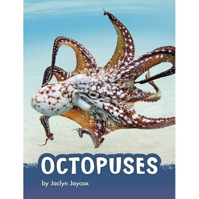 Octopuses - (Animals) by  Jaclyn Jaycox (Hardcover)