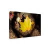 Trademark Fine Art - Suzanne Bonin Single Maple Leaf Canvas Art - 4 of 4