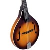 Recording King RAM-3 Dirty 30s A-Style Mandolin - 3 of 4