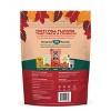 Jinx Halloween Pumpkin & Apple Crunchy Dog Treat Biscuits - 16oz - 2 of 4