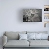 Trademark Fine Art Dalibor Davidovic  shadows splitting Canvas Wall Art - 2 of 4