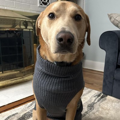 Blue Zig Zag Stripe, Lambswool Fairisle Knit Dog Sweater