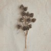 Storied Home Hanging Plastic Pinecone Bunch with Glitter, Champagne Finish - 2 of 2