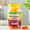 Spring Valley Brain Omega-3 from Algal Oil Gummy, 60 Count - 2 of 4