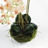 Plum & Post Phalaenopsis Mini Garden Artificial Plant Drop-In - 2 of 4