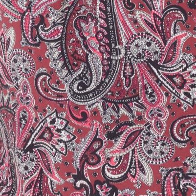 rich burgundy paisley print