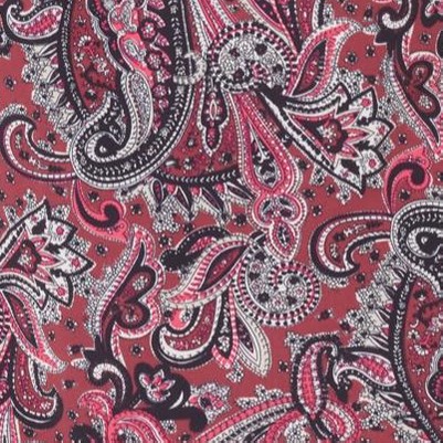 rich burgundy paisley print
