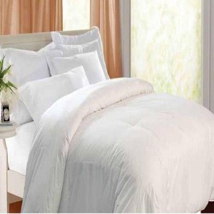 Blue Ridge Kathy Ireland 240 Thread Count Unbleached Cotton Cover Feather Down Comforter - Off White - 1 of 1