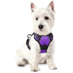 rabbitgoo Dog Harness No Pull with 2 Leash Clips, Adjustable Soft Padded, Reflective Oxford No Choke Pet Vest , Purple,XS - 1 of 1