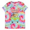 Scooby-Doo Girls' Characters The Gang Mystery Machine Pajama Set Shorts Multicolored - 2 of 4